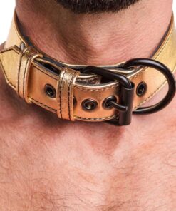 BONDAGE FETISH METALLIC PUP COLLAR WITH LEASH
